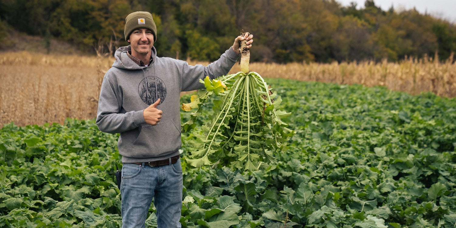 Maximizing Your Chances of Tagging a Mature Whitetail This Fall