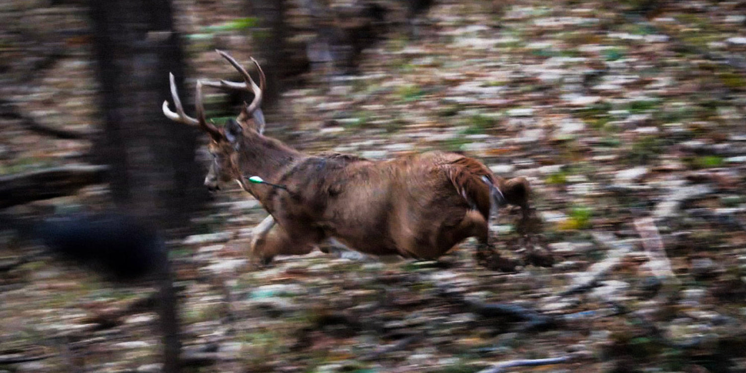 YourHunt | Iowa with Leo Van Beck & Q