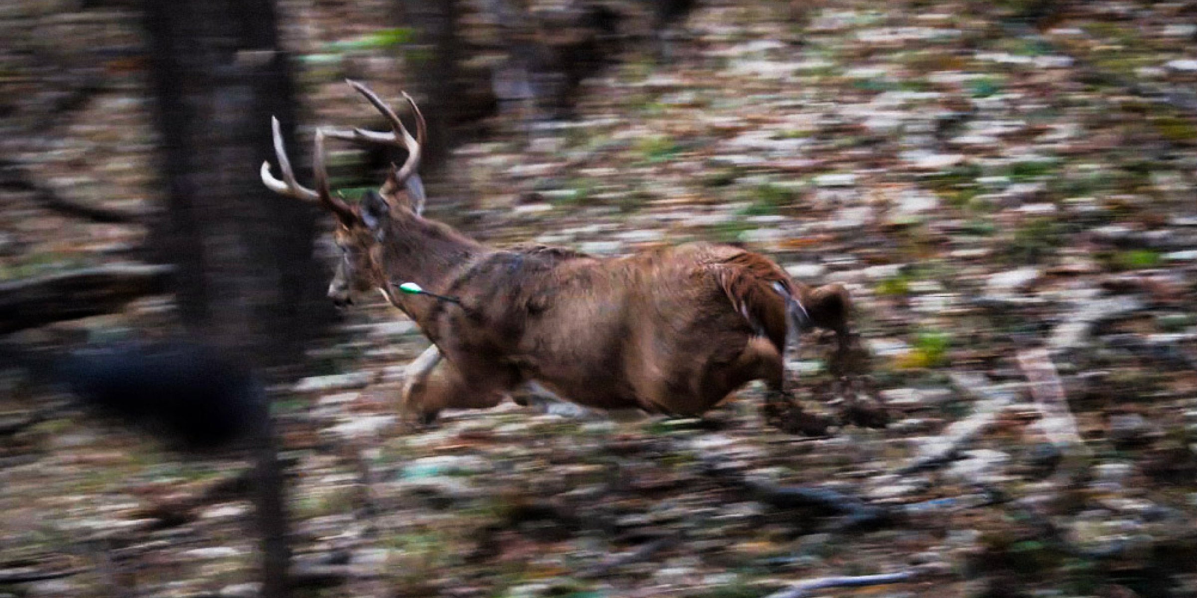 YourHunt | Iowa with Leo Van Beck & Q