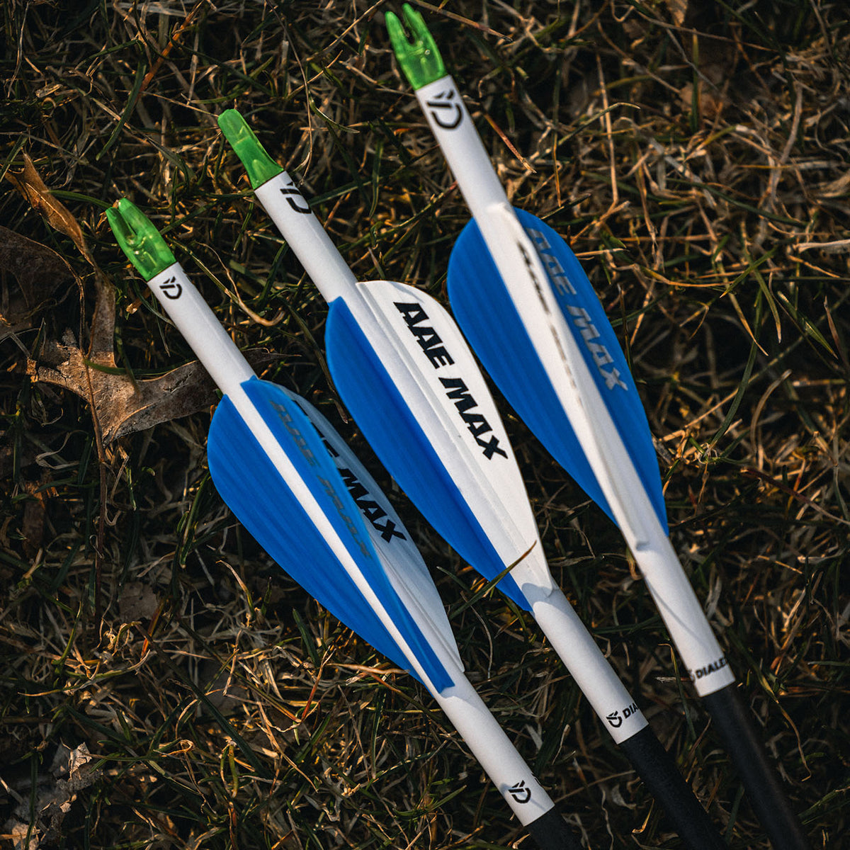 Logo Arrow Wraps