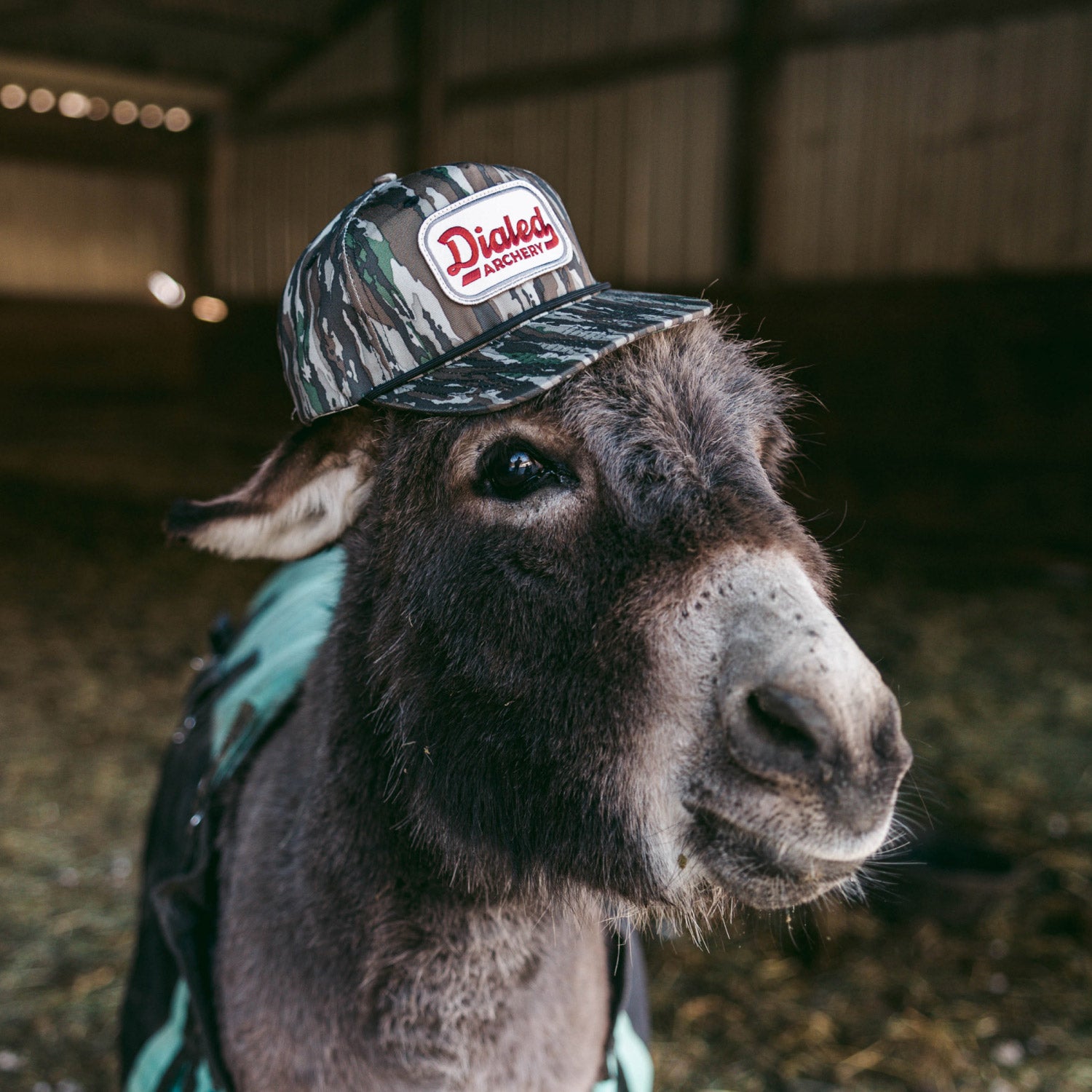 Pastime Rope Snapback Hat