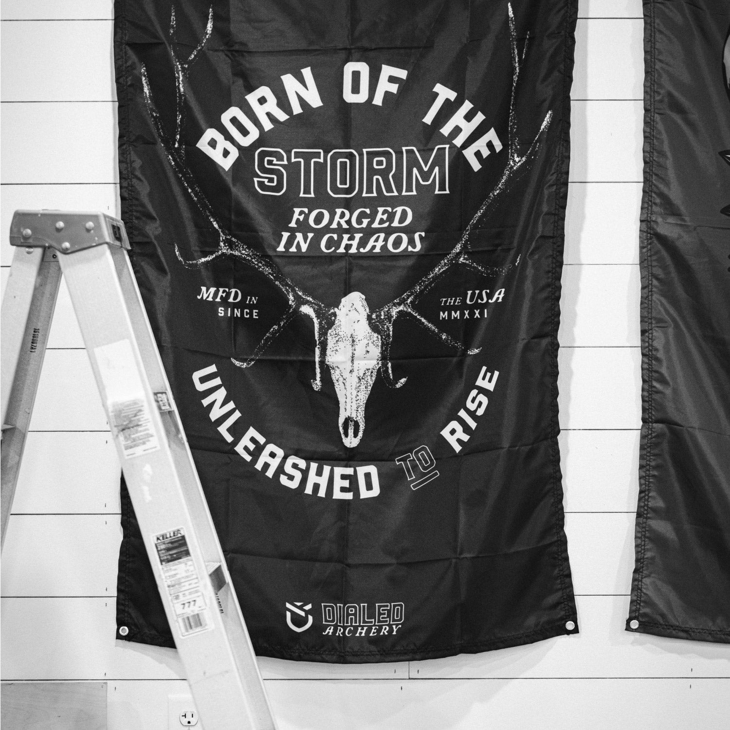 Stormborn Flag - 3'x5'