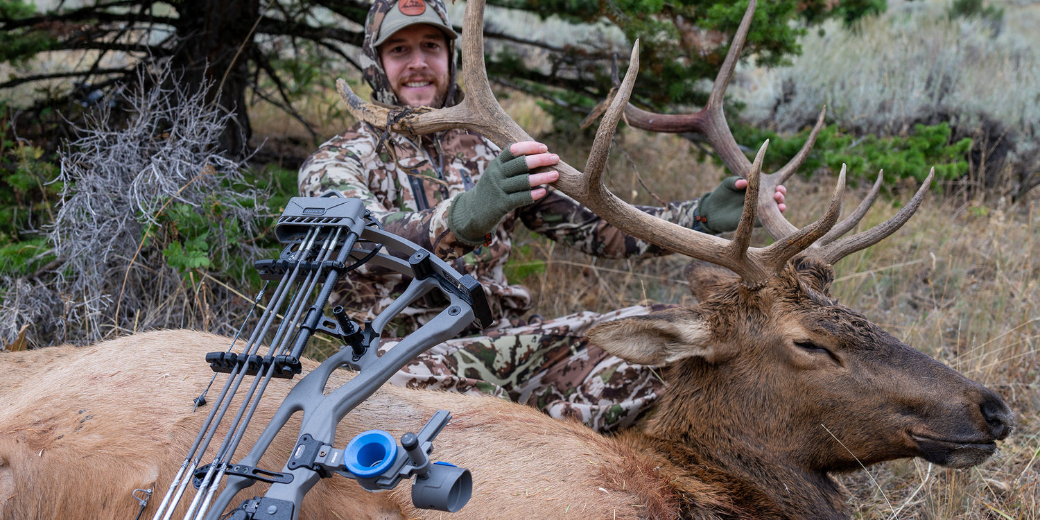 Chasing the Dream: My Journey from Georgia Whitetails to a Montana Elk