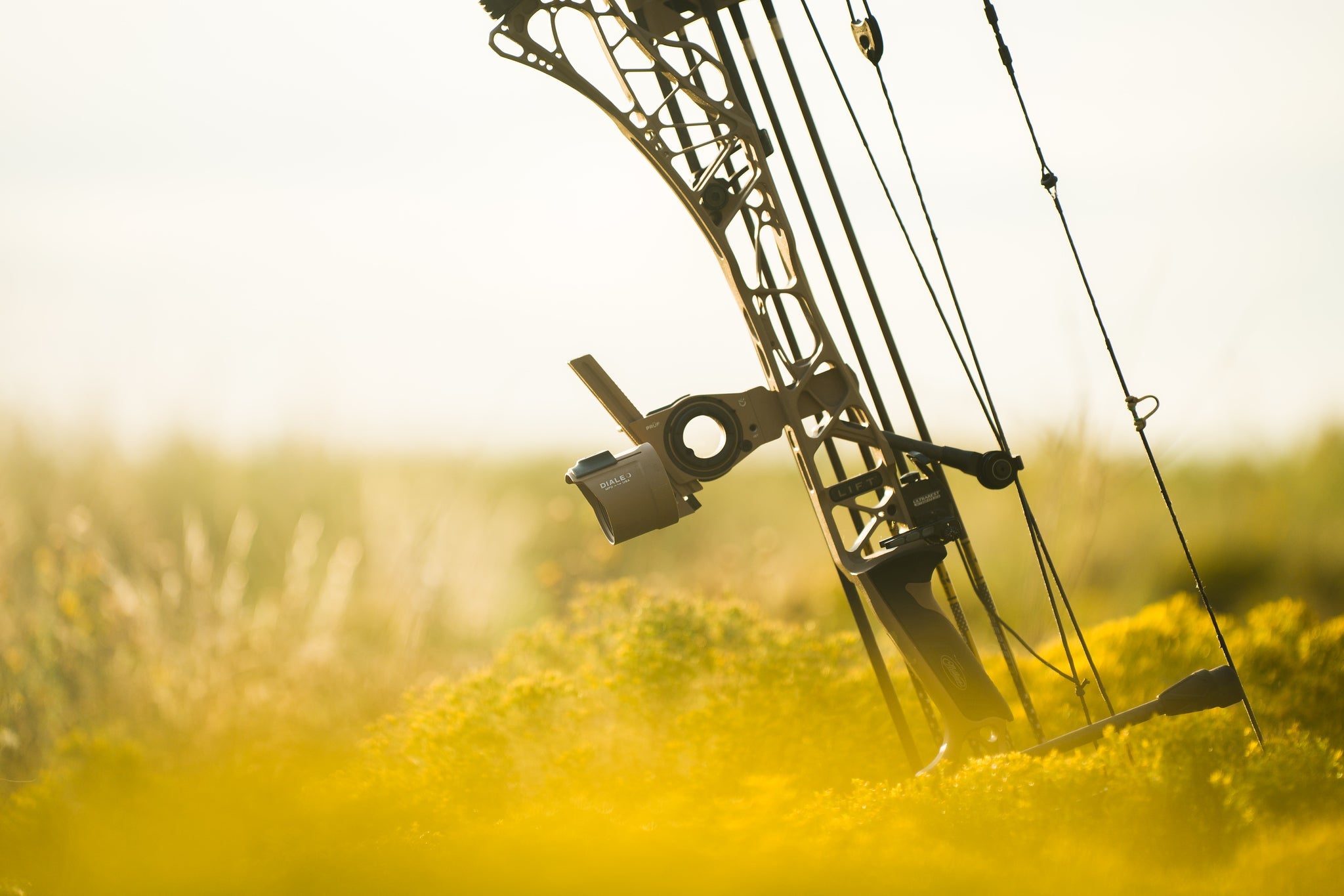 What Makes a Hunting Bow Sight? Precision, Dependability...