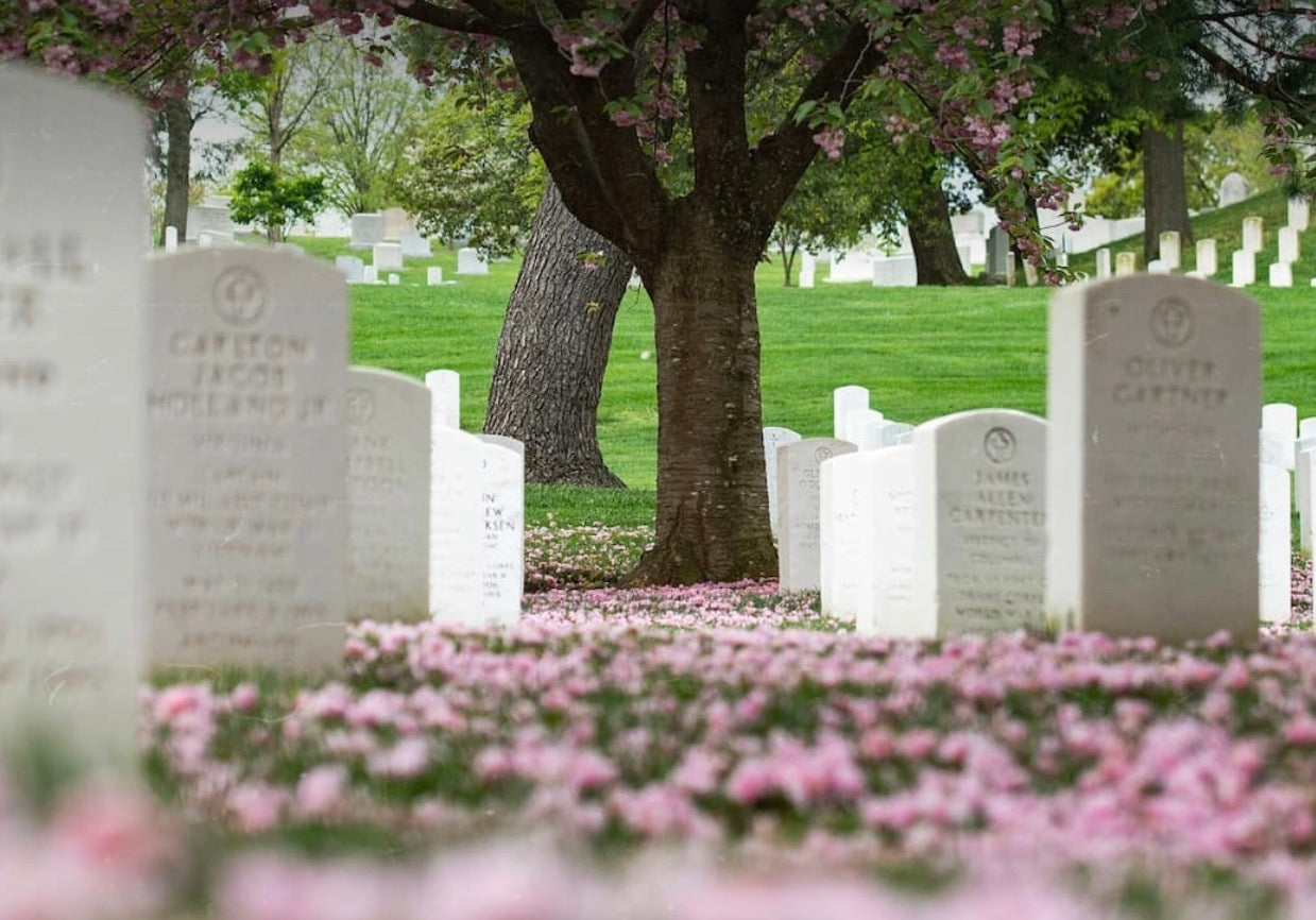 Memorial Day: A Day of Remembrance