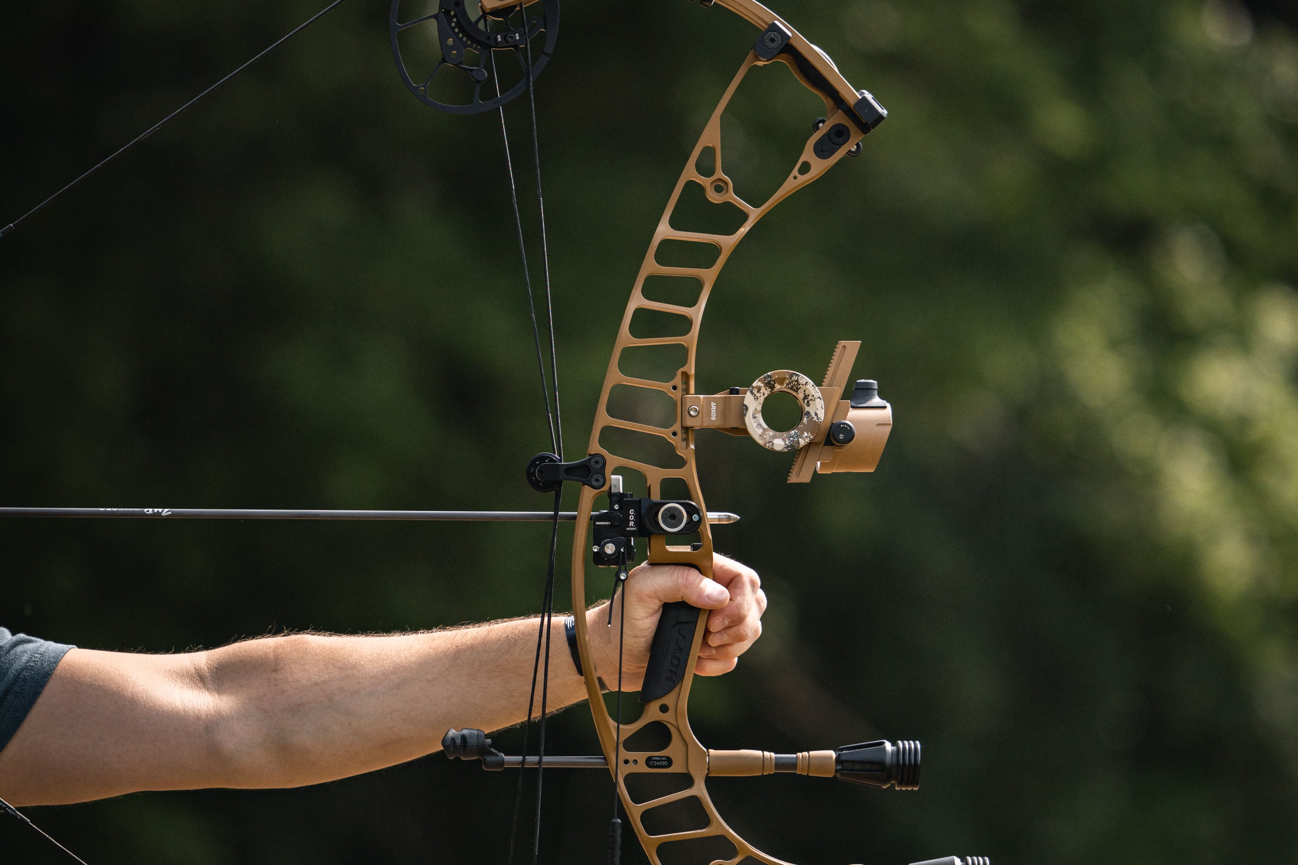 hoyt bow serial numbers