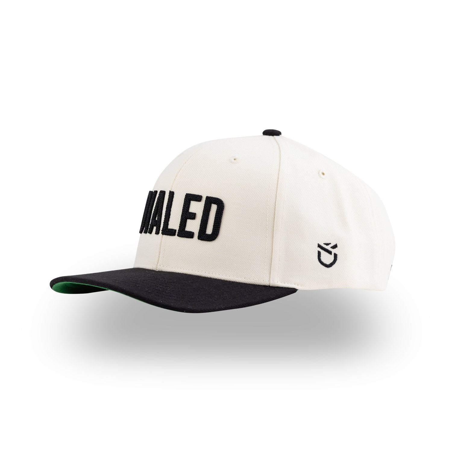 Home Field Snapback Hat