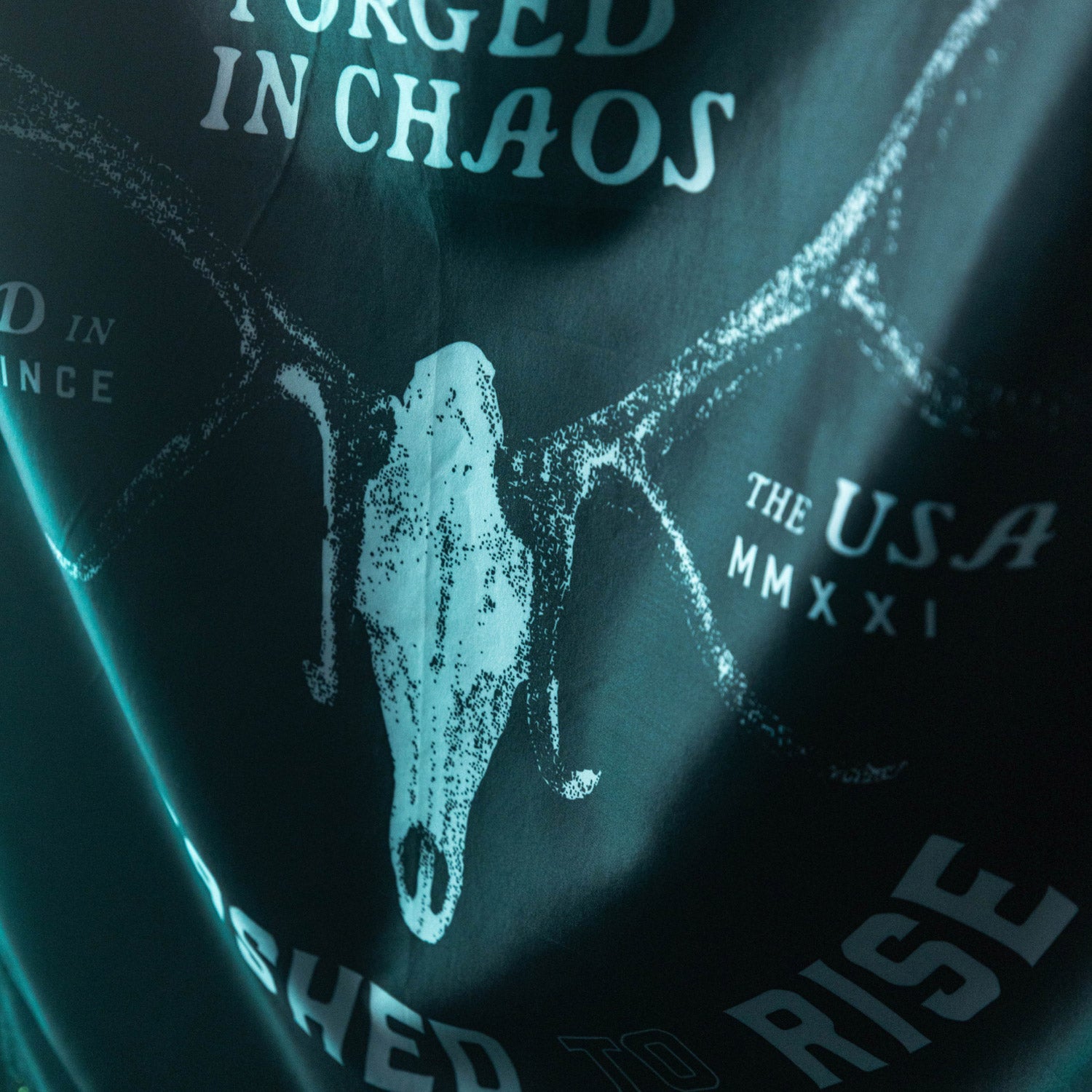 Stormborn Flag - 3'x5'