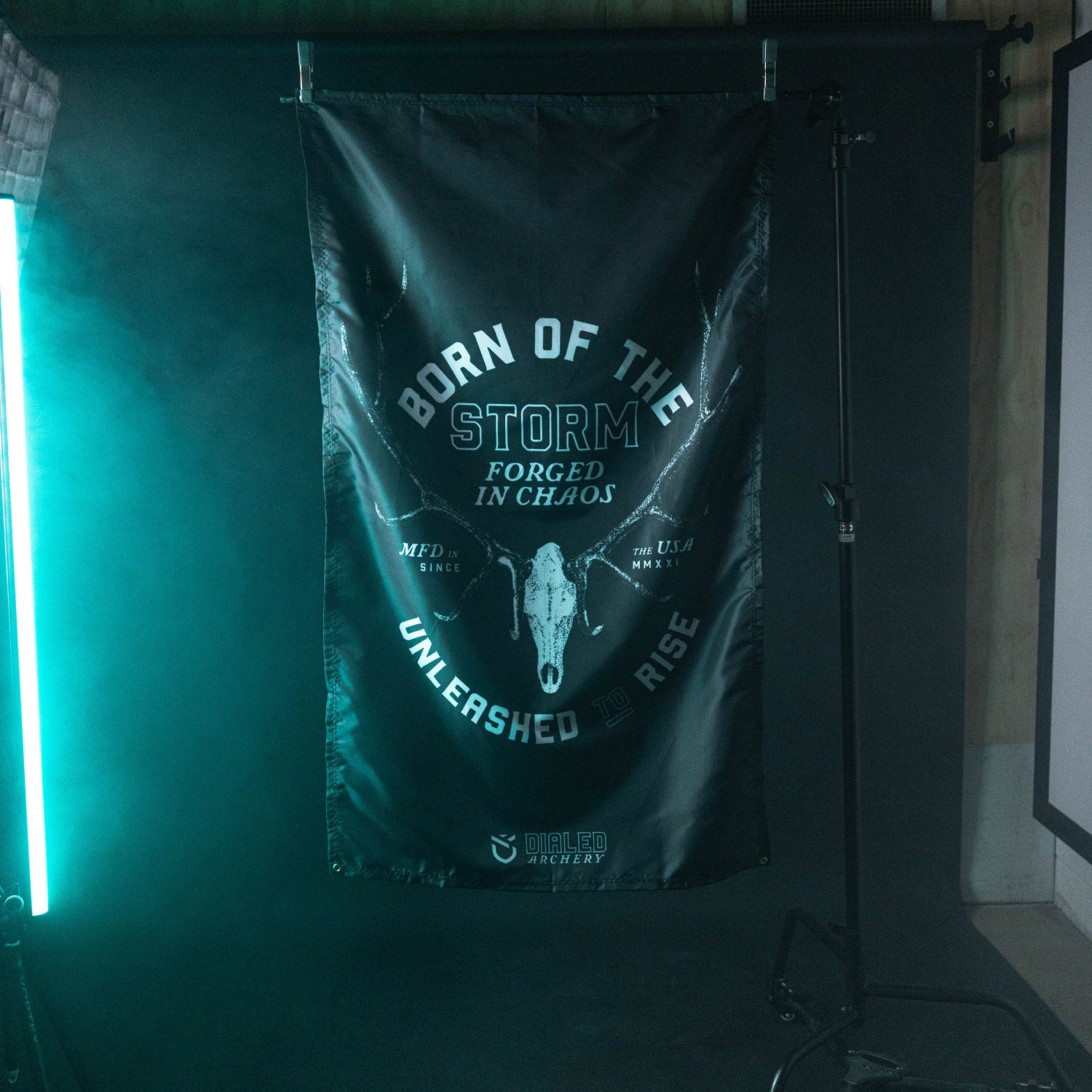 Stormborn Flag - 3'x5'