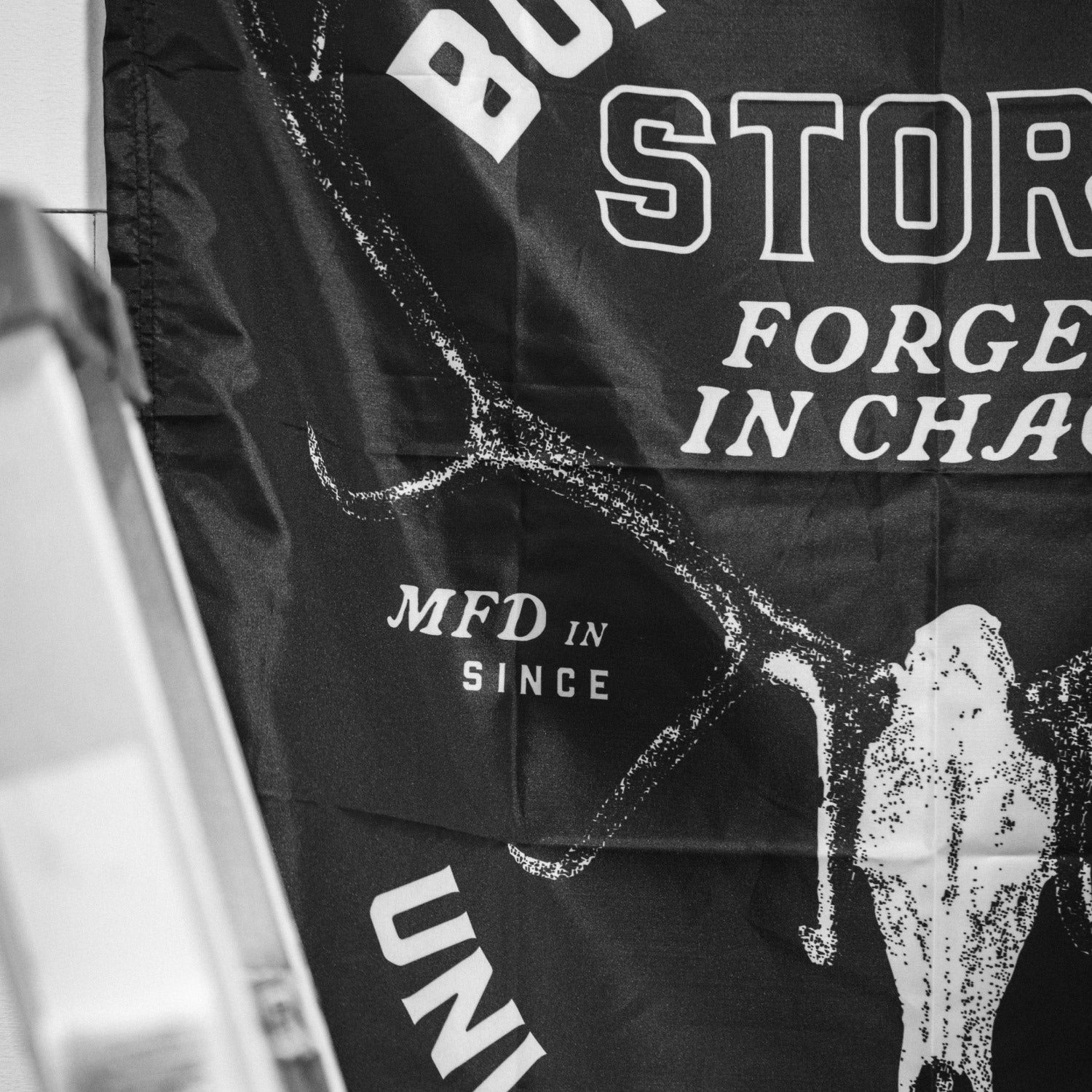 Stormborn Flag - 3'x5'